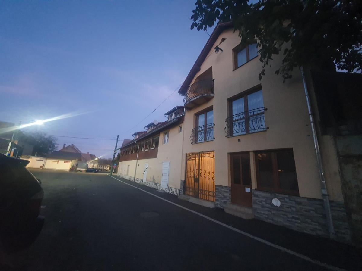 Bed and Breakfast Casa Ana Maria Cisnădie Exterior foto